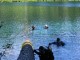 Thumbs/tn_ClearLake 030.jpg